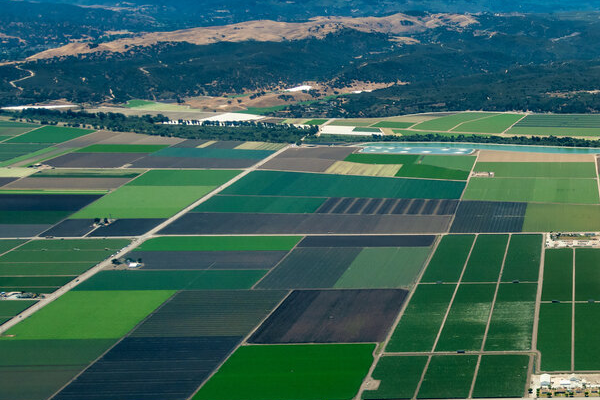 hebbevu-farms